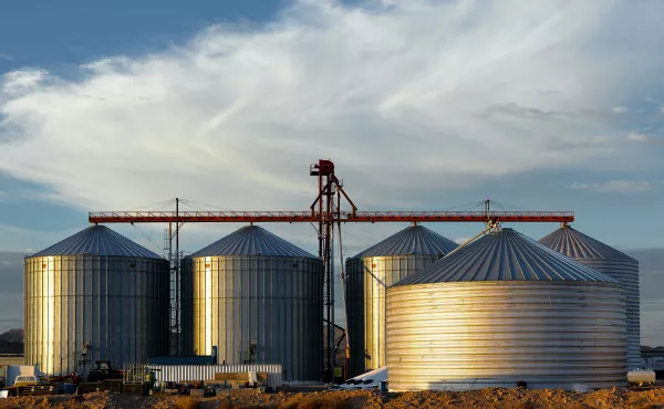 К 2028 году на Кузбассе появится элеваторный комплекс на 200 тыс. тонн зерна